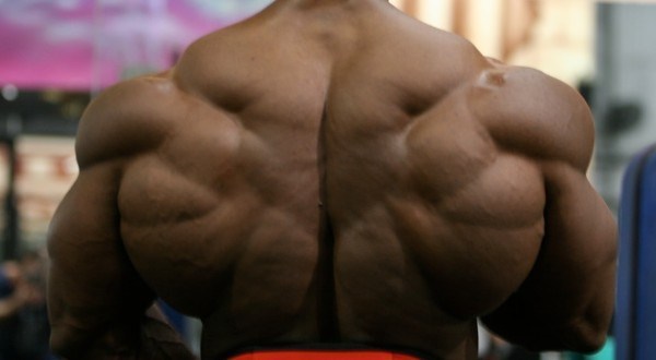 Buy real bulking steroids online